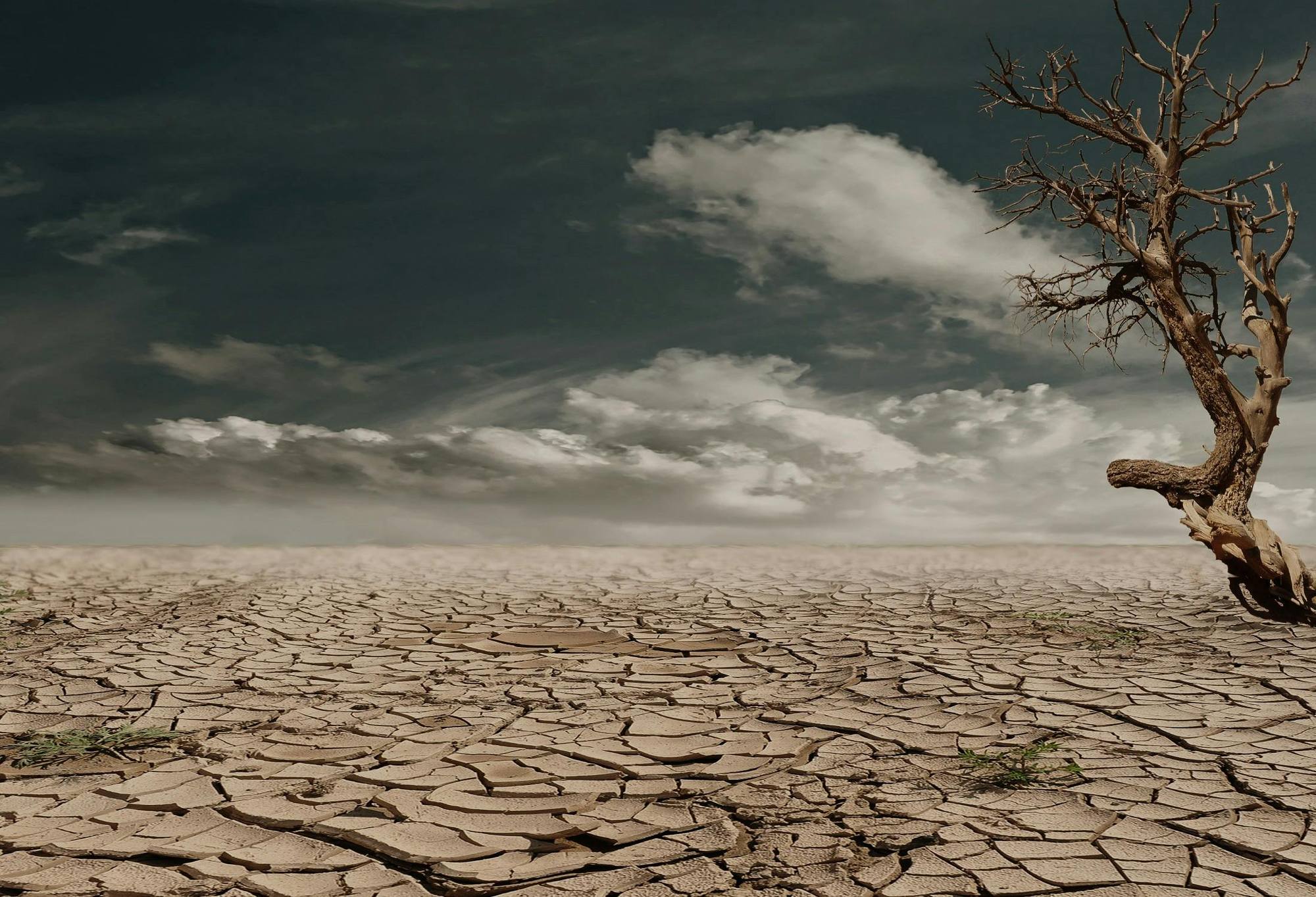 Le climat en danger: quand les constellations de satellites vont aggraver la situation.