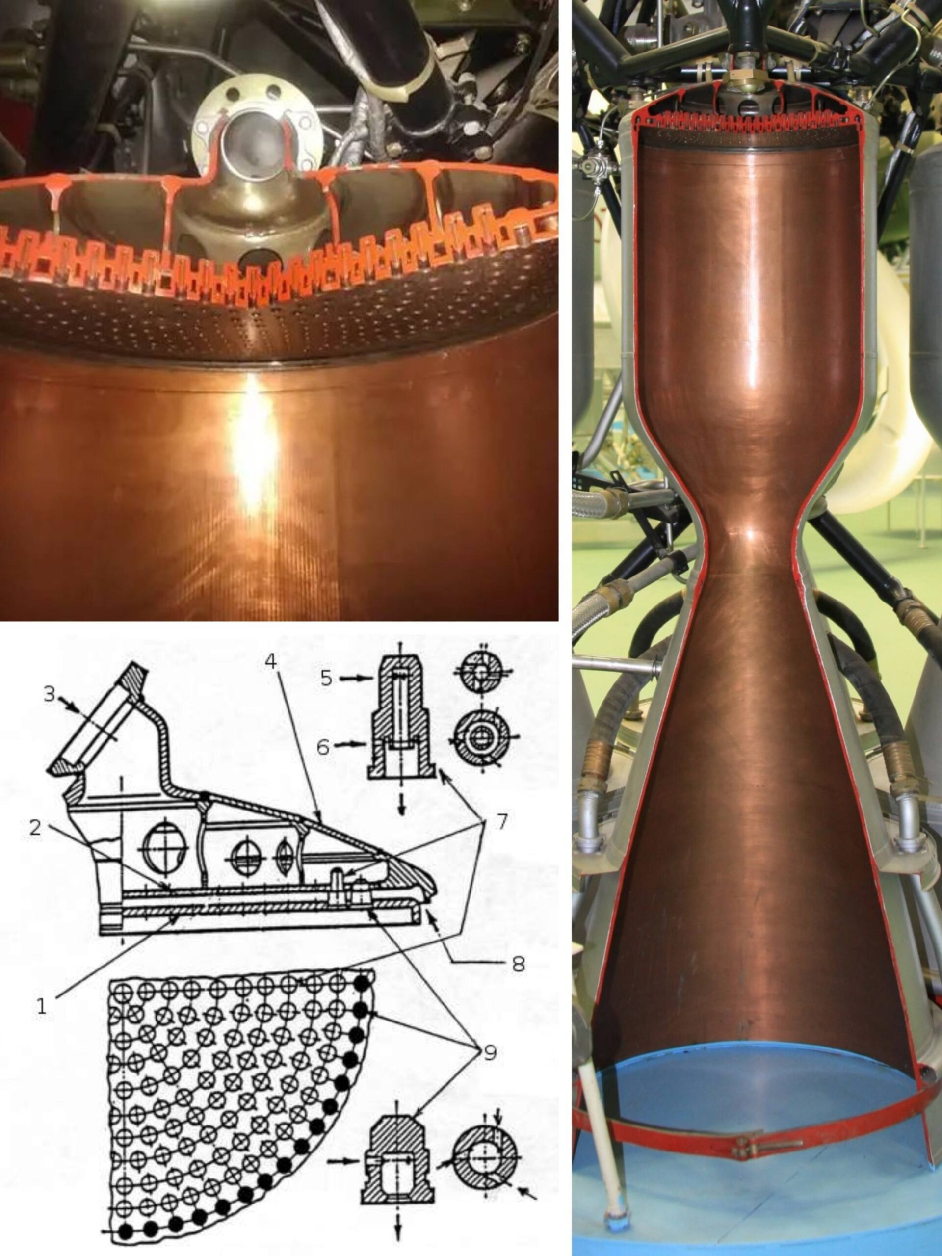 Un moteur RD-107A et dérivés en coupe.